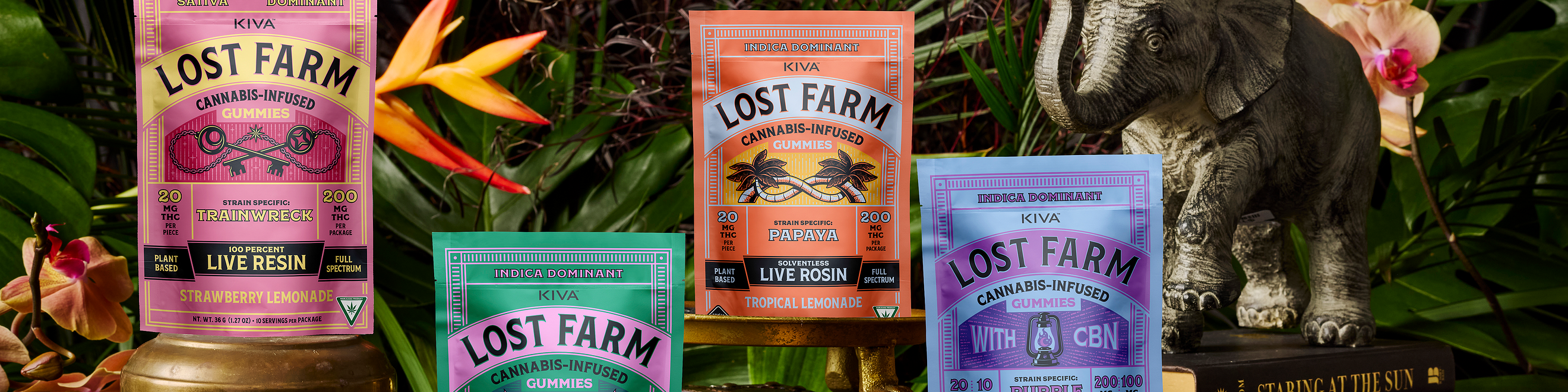 Lost Farm Cover Image