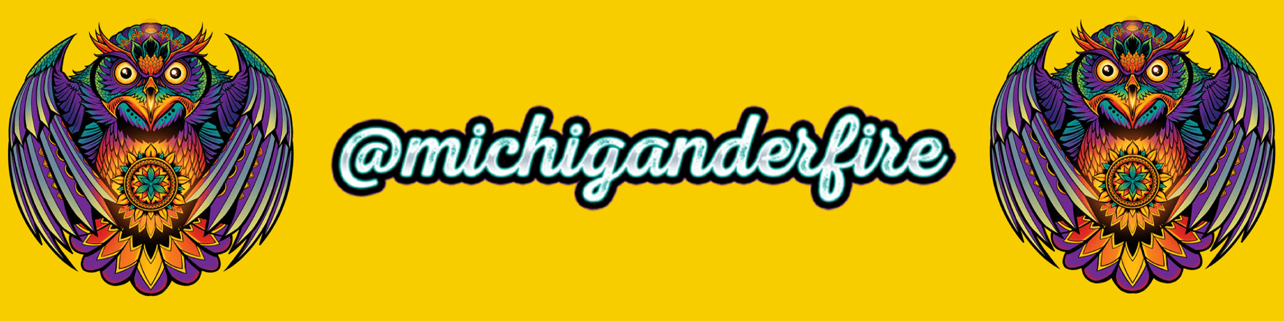 Michigander Fire Cover Image