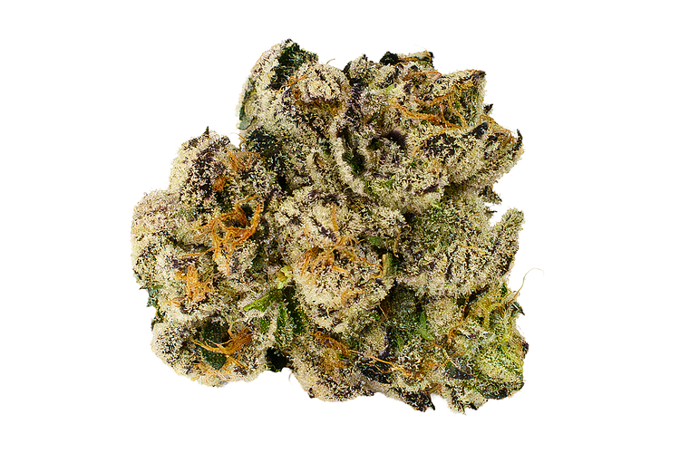 Rodeoz Bulk Flower by DogHouse