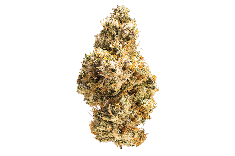 Sacred G Bulk Flower by Flower Of Life