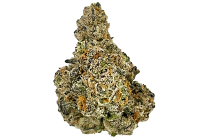 Envy313 Bulk Flower by D:FY | Detroit's Finest Yet